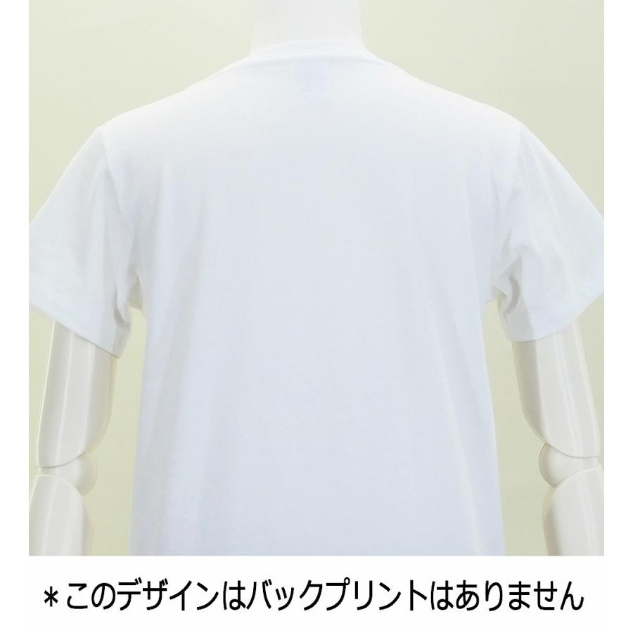 フラダンス Tシャツ [XL] ハワイアンフラワー ホワイト 3083xlw｜emika｜03