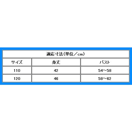 アロハシャツ ガールズ ブルー ヘリコニア 120サイズ c84bl120｜emika｜06