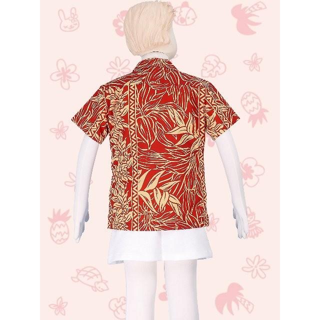 アロハシャツ ガールズ ブラウン ヘリコニア 120サイズ c84br120 |  | 02