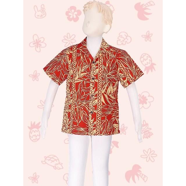 アロハシャツ ボーイズ ブラウン ヘリコニア 120サイズ c85br120 |  | 01