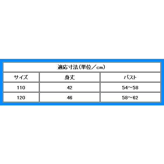 アロハシャツ ガールズ ブルー オーキッド 120サイズ c88bl120 |  | 05