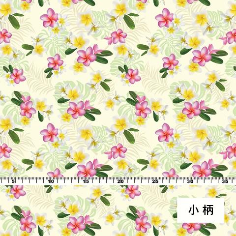 ハワイアン生地 プルメリア柄 コシボ生地 クリーム KH-518-CR-K 3-5