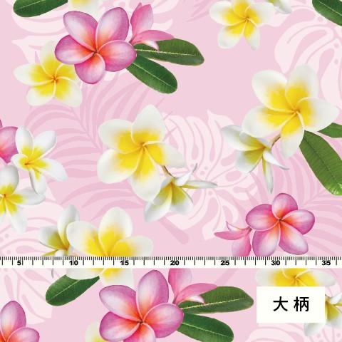 ハワイアン生地 プルメリア柄 コシボ生地 ピンク Kh 518 Pi K 3 4営業日後発送 Kh 518 Pi K Emika 通販 Yahoo ショッピング