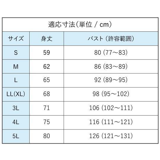 名入れTシャツ [3L/4L/5L] ホワイト NT0153l-5lw｜emika｜06