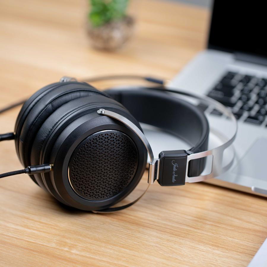 FiiO ヘッドホン FIIO JT1 FIO-JT1-B 密閉型 高音質 : Emilai