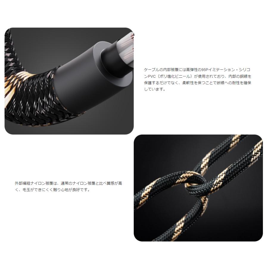 FiiO（フィーオ） FIIO LT-TC5 M FIO-LT-TC5M 800mm 80cm 両端USB Type