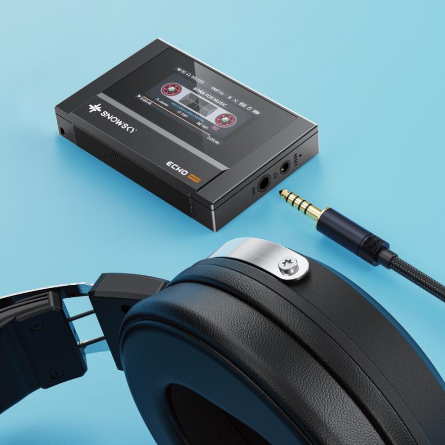 FiiO FIIO Snowsky ECHO MINI FIO-SSEMINI デジタルオーディオ