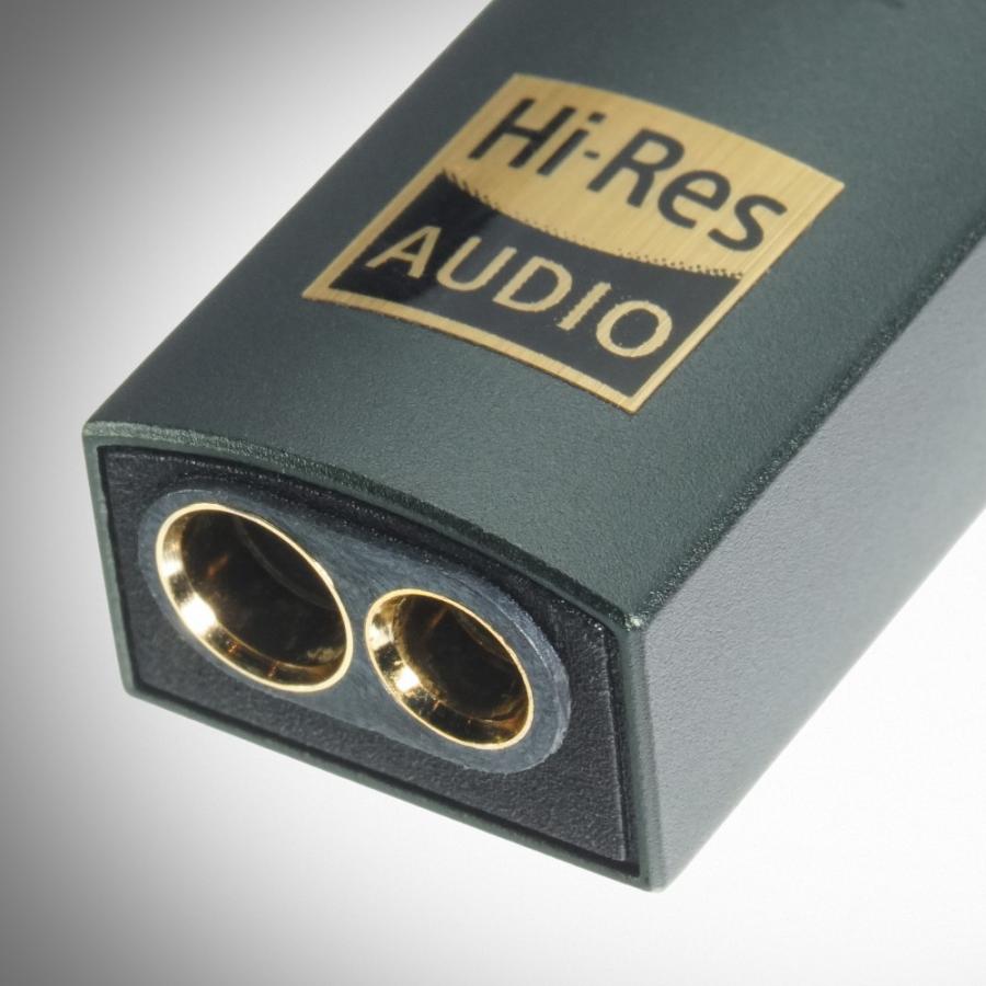 iFi audio GO link Max IFI-GO-LINKMAX アンプ ヘッドホンアンプ ヘッドフォンアンプ DAC | iFi audio | 02