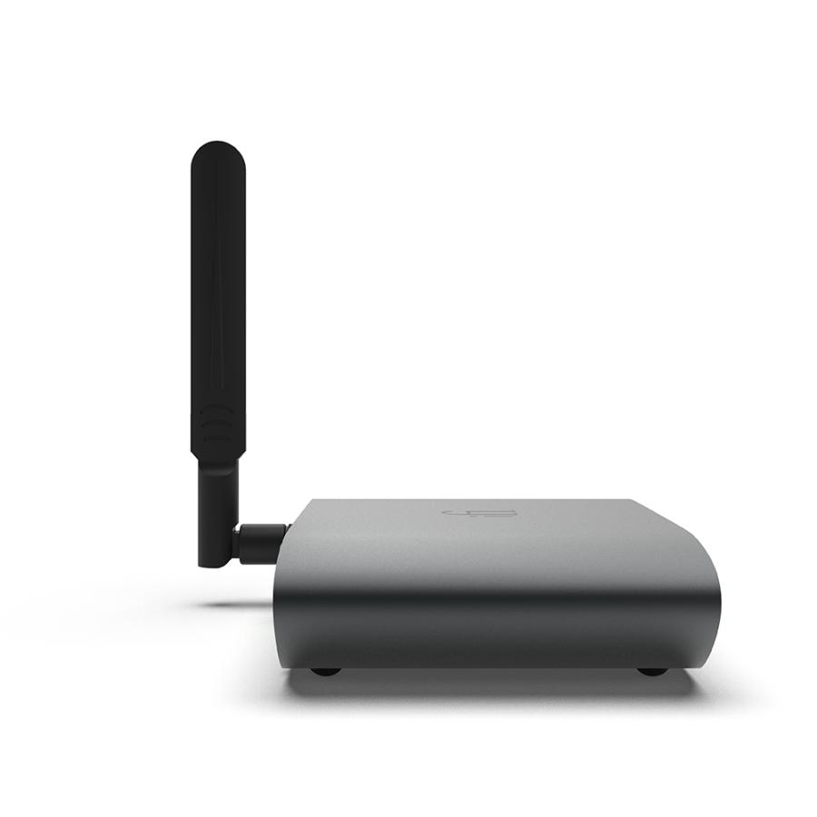 iFi audio（アイファイオーディオ） iFi audio ZEN Stream3 IFI-ZEN