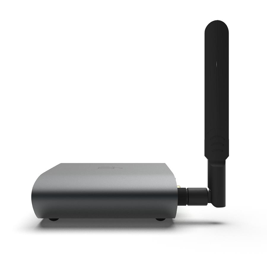 iFi audio（アイファイオーディオ） iFi audio ZEN Stream3 IFI-ZEN