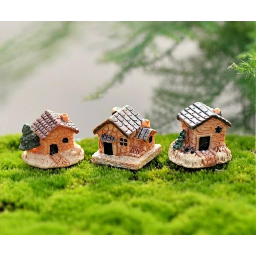 Tear Drop 2個セット売り Terrarium L 未使用 日本初の Terrarium