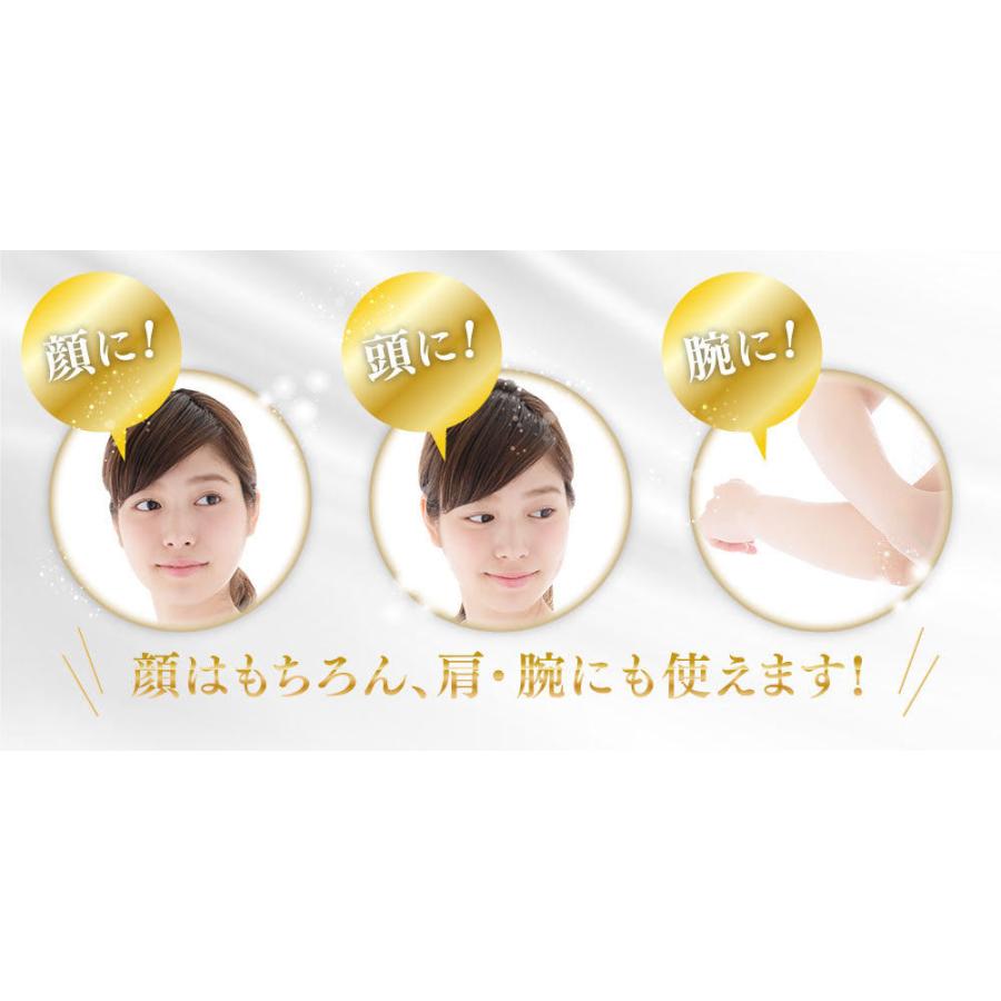 エミリーストーン 美顔ローラー 2点 セット 美容 小顔 フェイス
