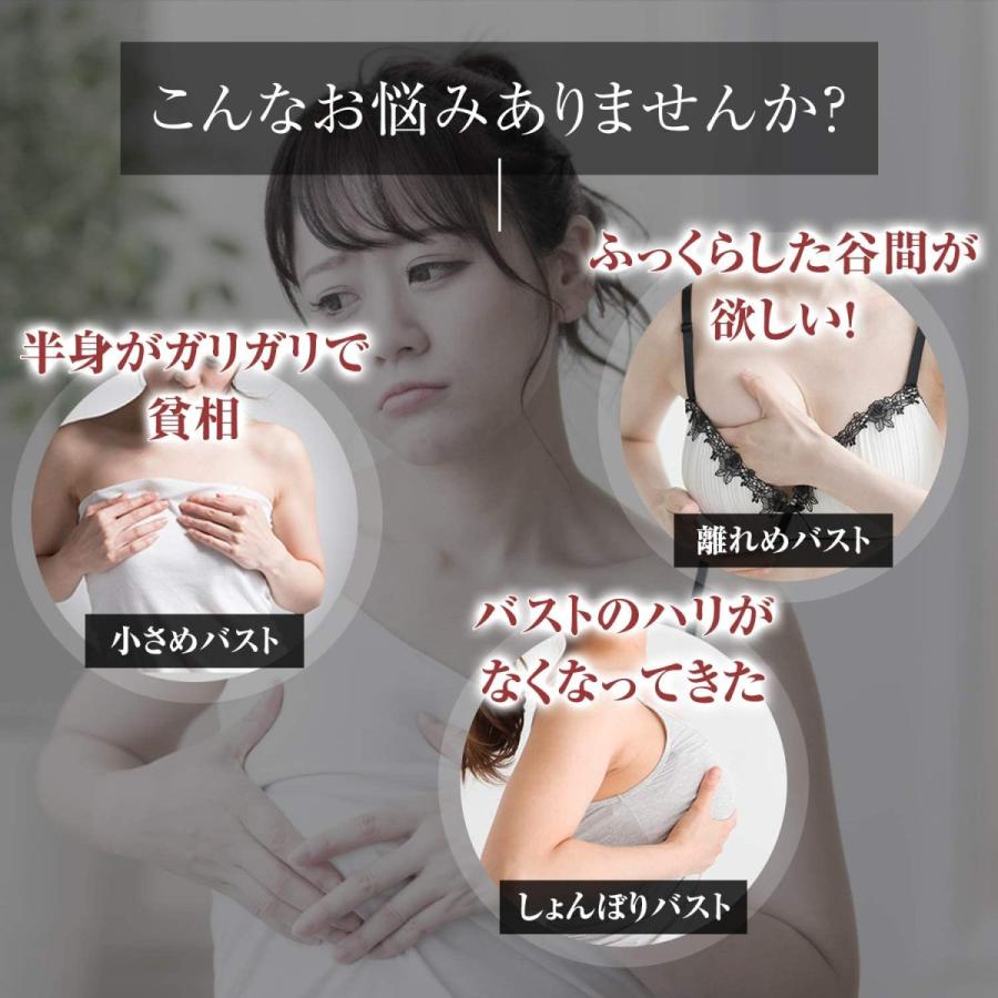 新品バストアップセット　プロテイン　エラスチン　鉄　ビタミン　育乳　バストケア 美胸キーププレミアムセット【3ヶ月分】 | RAVIS