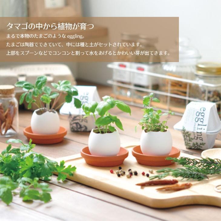 栽培セット 栽培キット エッグリングエコフレンドリー 菜園キット 菜園