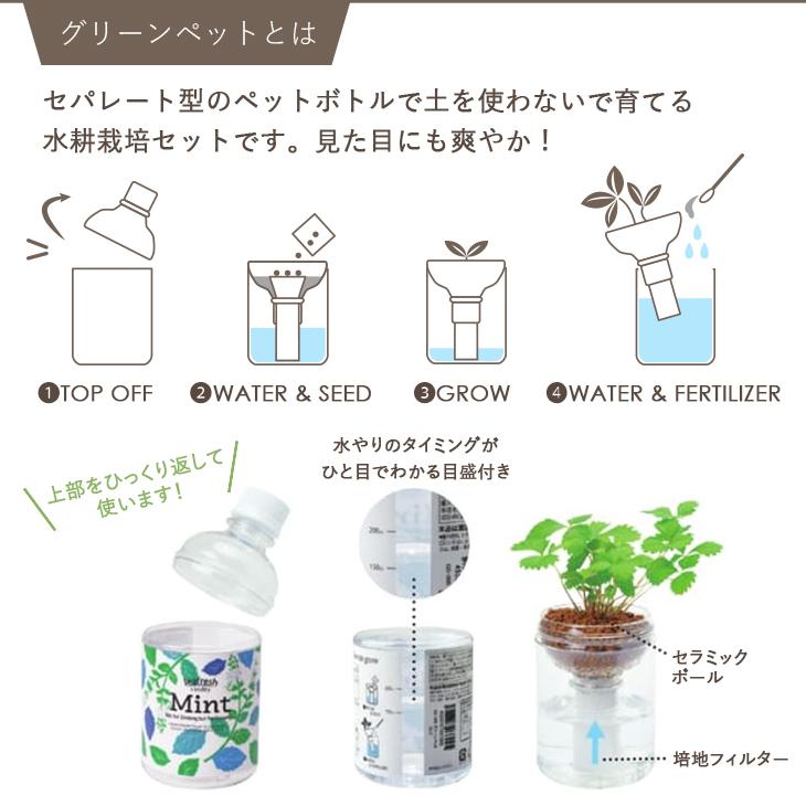 栽培セット 栽培キット 育てるグリーンペット ミント バジル ハーブ 野菜 室内栽培 かわいい おしゃれ ギフト プレゼント Gd 863 聖新陶芸 Gd 863 お庭の宅配便yahoo 店 通販 Yahoo ショッピング