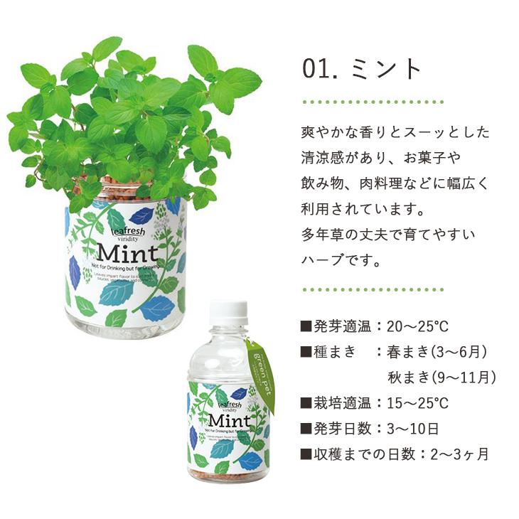 栽培セット 栽培キット 育てるグリーンペット ミント バジル ハーブ 野菜 室内栽培 かわいい おしゃれ ギフト プレゼント Gd 863 聖新陶芸 Gd 863 お庭の宅配便yahoo 店 通販 Yahoo ショッピング
