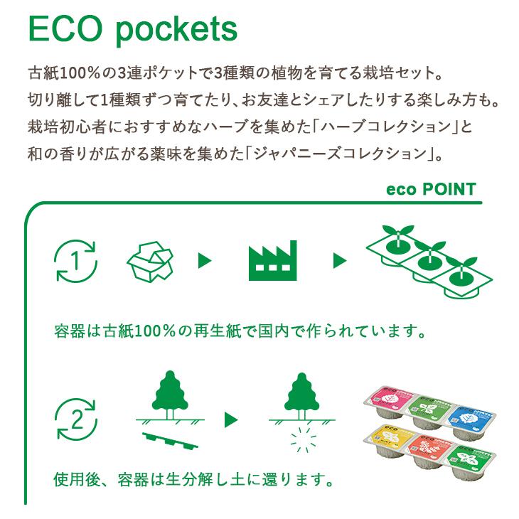 栽培キット エコポケット ハーブコレクション ジャパニーズコレクション ミント タイム バジル しそ 三つ葉 わさび菜 聖新陶芸 GD-952 人気ブランド多数対象 室内栽培 栽培キット エコポケット ハーブコレクション ジャパニーズコレクション ミント タイム バジル しそ 三つ葉 わさび菜 聖新陶芸 GD-952 人気ブランド多数対象 室内栽培