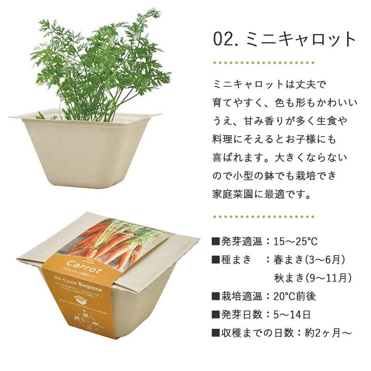 栽培セット 栽培キット バガスグリーン BAGASSE GREEN エコポットで育てる野菜栽培セット 室内栽培 プレゼント GD-953 聖新陶芸｜emiook｜04