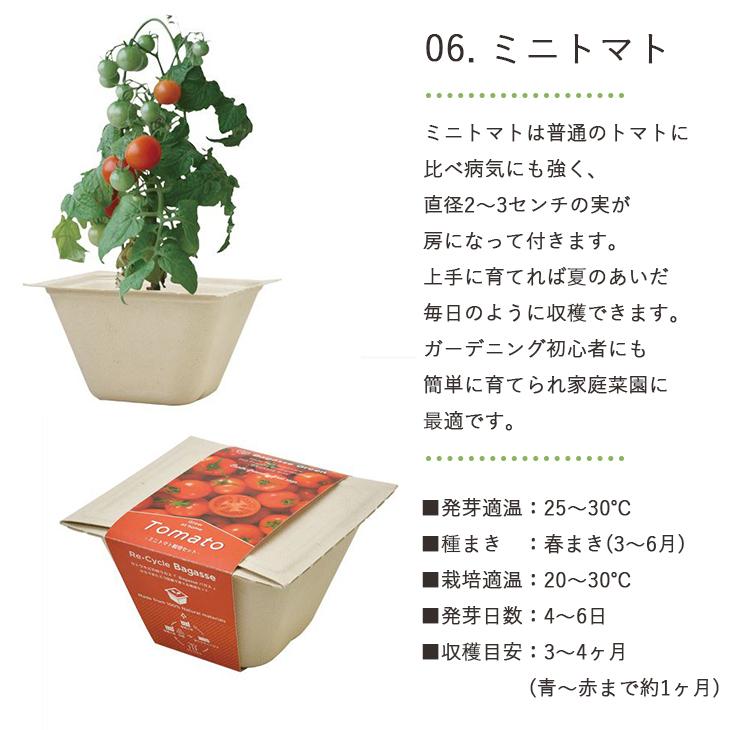 Supreme Mini Planters 3色セット Supreme - ☆新品 Supreme Mini Planters (Set of 3)の通販 by KIRA
