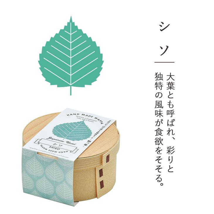 栽培キット WAPPA 和っ葉栽培セット シソ ミツバ コネギ 水菜 野菜