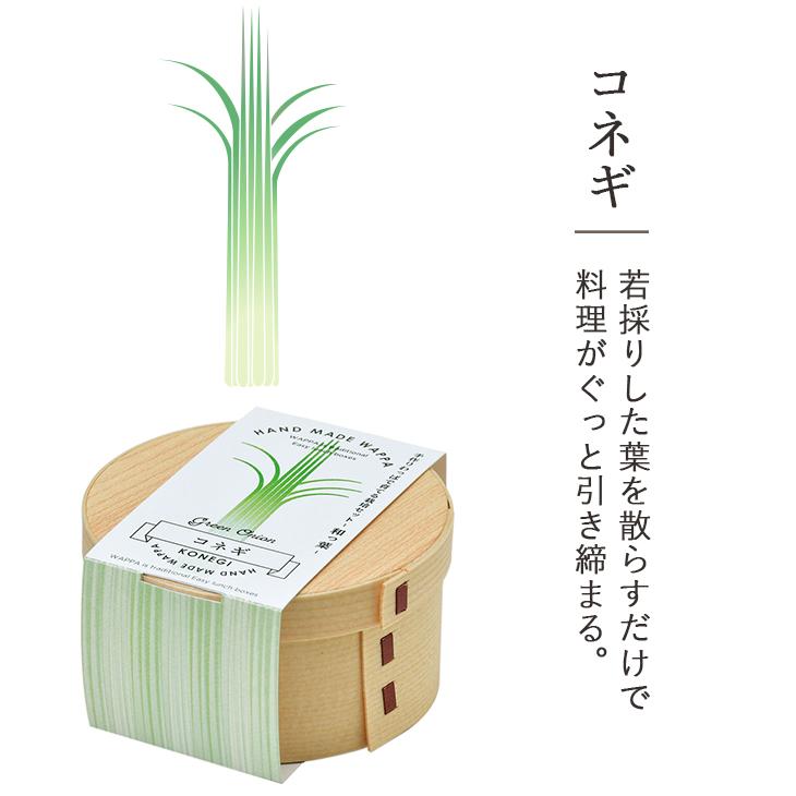 栽培キット WAPPA 和っ葉栽培セット シソ ミツバ コネギ 水菜 野菜