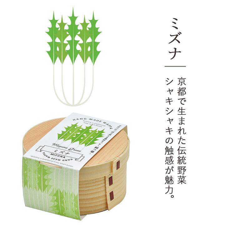 栽培キット WAPPA 和っ葉栽培セット シソ ミツバ コネギ 水菜 野菜