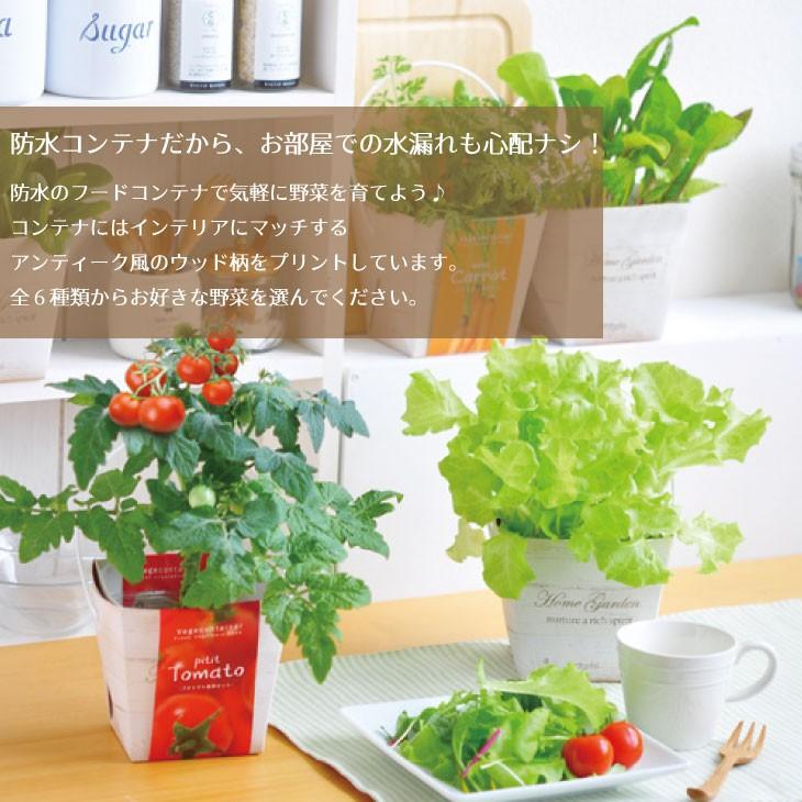 栽培キット 栽培セット ベジコンテナー 菜園セット 家庭菜園 野菜 栽培 キッチン菜園 食育 ギフト プレゼント おしゃれ かわいい Gd333 Gd333 お庭の宅配便yahoo 店 通販 Yahoo ショッピング