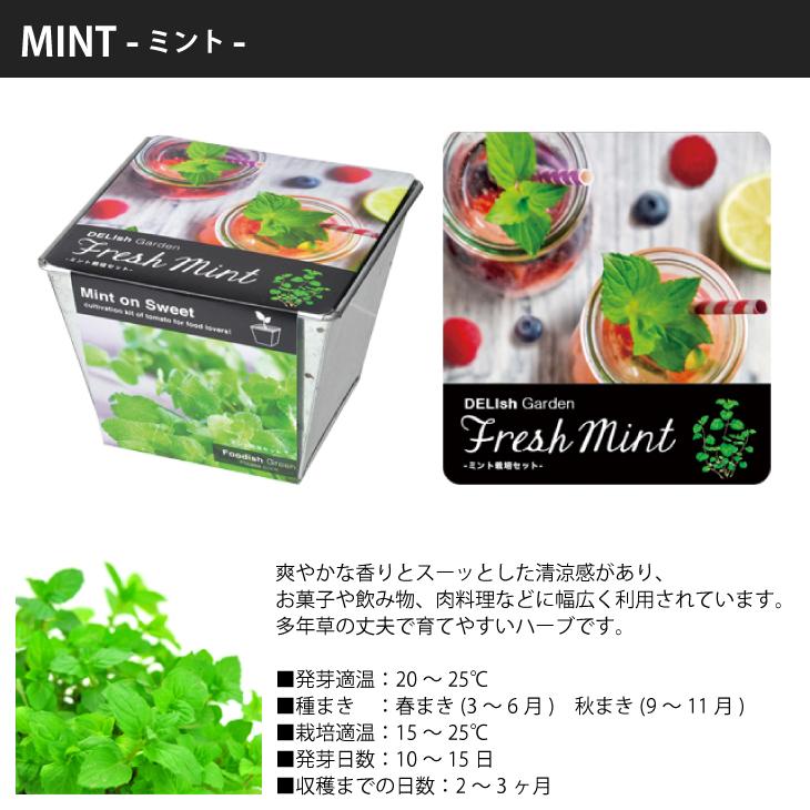 デリッシュガーデン 栽培セット Gd757 栽培キット ミント バジル パクチー トマト 野菜 室内 栽培 室内園芸 野菜栽培 食育 おしゃれ ギフト プレゼント Gd757 Gd757 お庭の宅配便yahoo 店 通販 Yahoo ショッピング