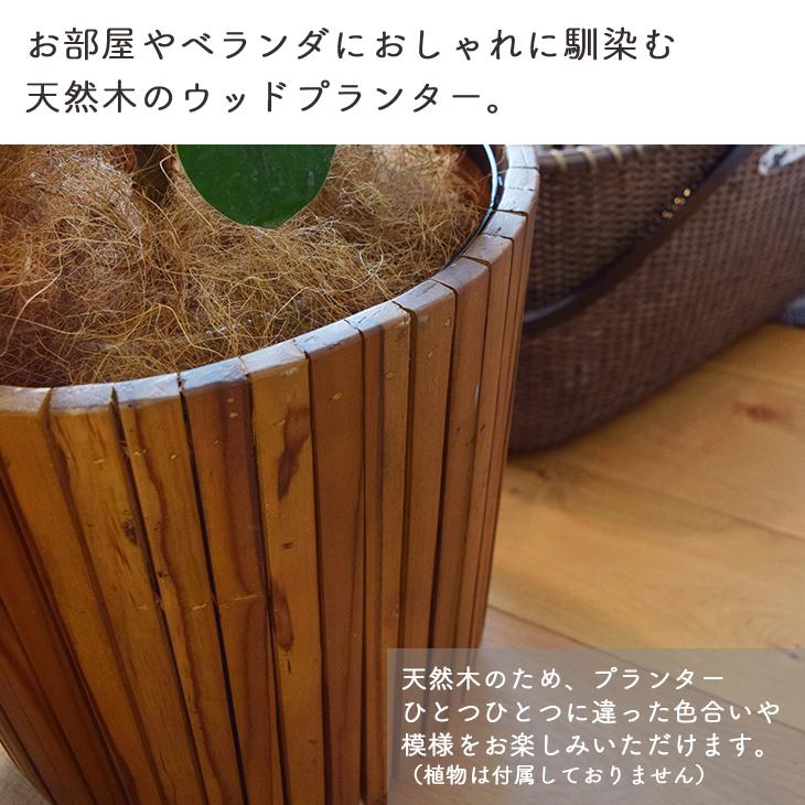 専用です　木製　鉢カバー fkolme_guy-823