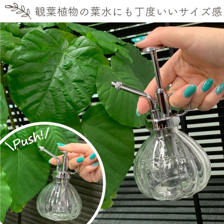 おすすめネット 園芸用品 丸いフォルムがかわいいガラスの霧吹き ガラス 霧吹き スプレーボトル 水やり 散水 水撒き 観葉植物 多肉 葉水 植木 栽培 ガーデニング ガーデン 庭 花 苗 園芸 室内 インテリア おしゃれ 可愛い