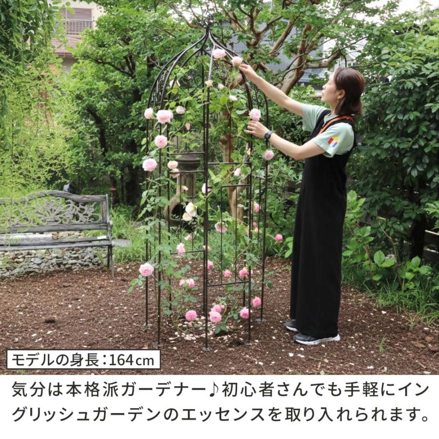 アイアンハーフアーチ（オベリスクキット） IF-N0035 住まいスタイル