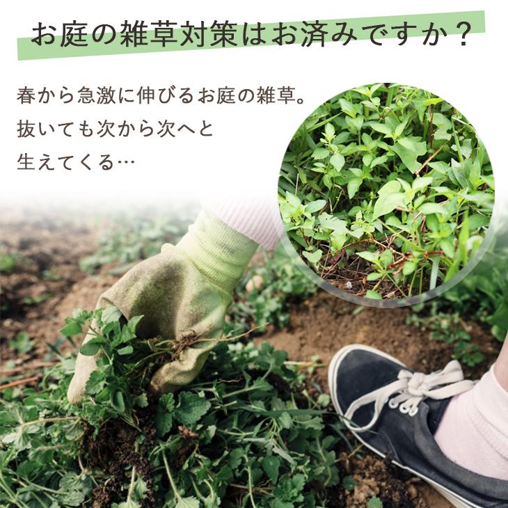 【新品未使用・1×10m】高強度・高耐久 防草シート 家庭菜園/ガーデニングに！ 楽天市場】高耐久 厚手 防草シート 1×10m グリーン UV耐候剤配合