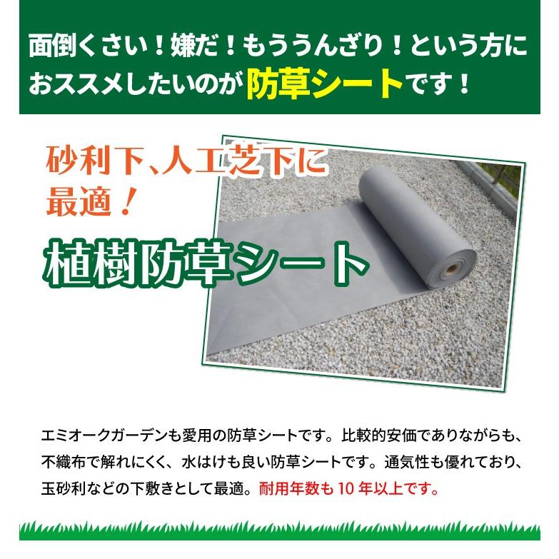 防草シート 10年耐用 植樹防草シート 下敷き用 1m m巻き 平米分 雑草対策 雑草防止シート 敷き方 砂利 庭 人工芝 園芸 造園 駐車場 ガーデニング Diy Tgseat エミオークガーデンyahoo 店 通販 Yahoo ショッピング