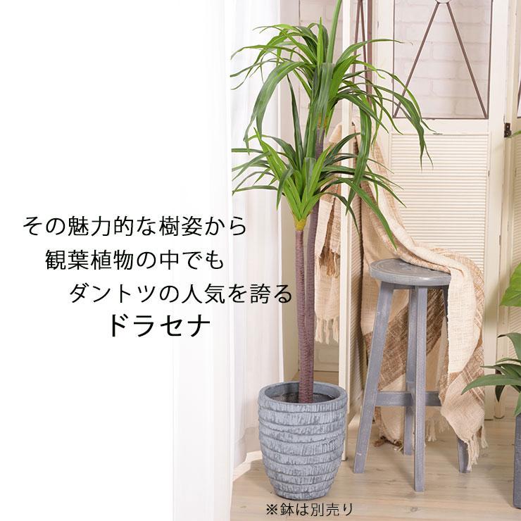 東谷 フェイクグリーン ドラセナ 観葉植物 造花 大型 人工観葉植物