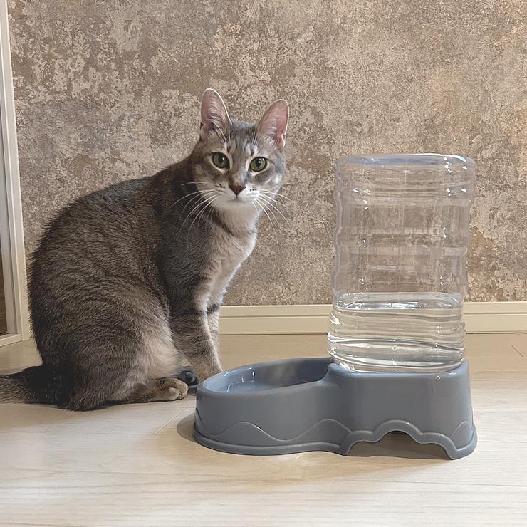 ペット自動給水器 犬 猫 大容量 3.2L 電源不要 ペット給水器 給水機 ペット用給水器 水飲み器 自動水やり器 自動補水 洗える｜emishop-ya｜16