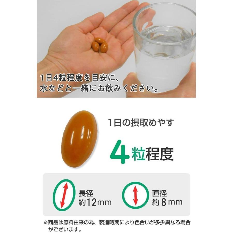 公式 トリプトファン セロトニン サプリ サプリメント メンタルクリア３袋セット（30日分×3袋） |  | 06