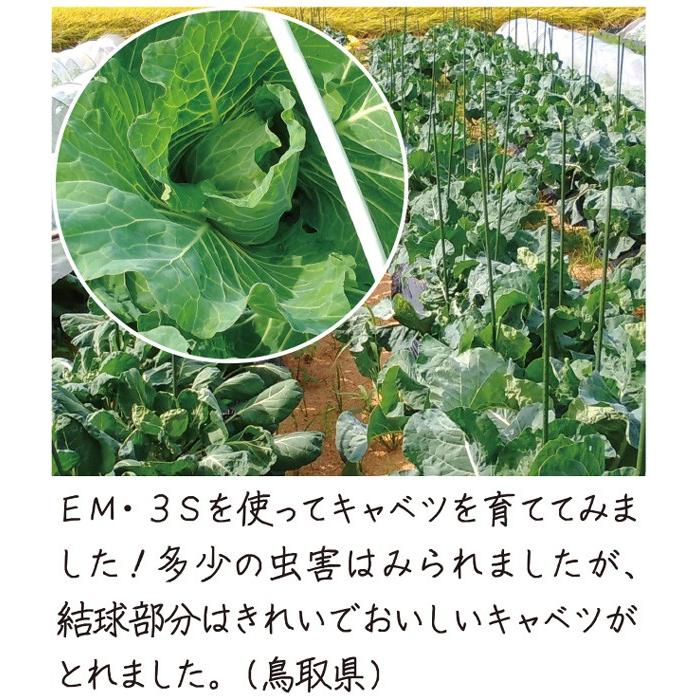 ＥＭ３Ｓ〈 500ml〉光合成細菌 バチルス ＥＭ菌 光合成アップ イーエムスリーエス |  | 03