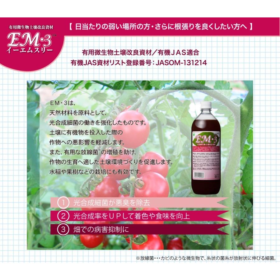 ＥＭ３〈1Ｌ〉　光合成細菌　ＥＭ菌　土壌改良材　有機JAS適合資材　 |  | 01