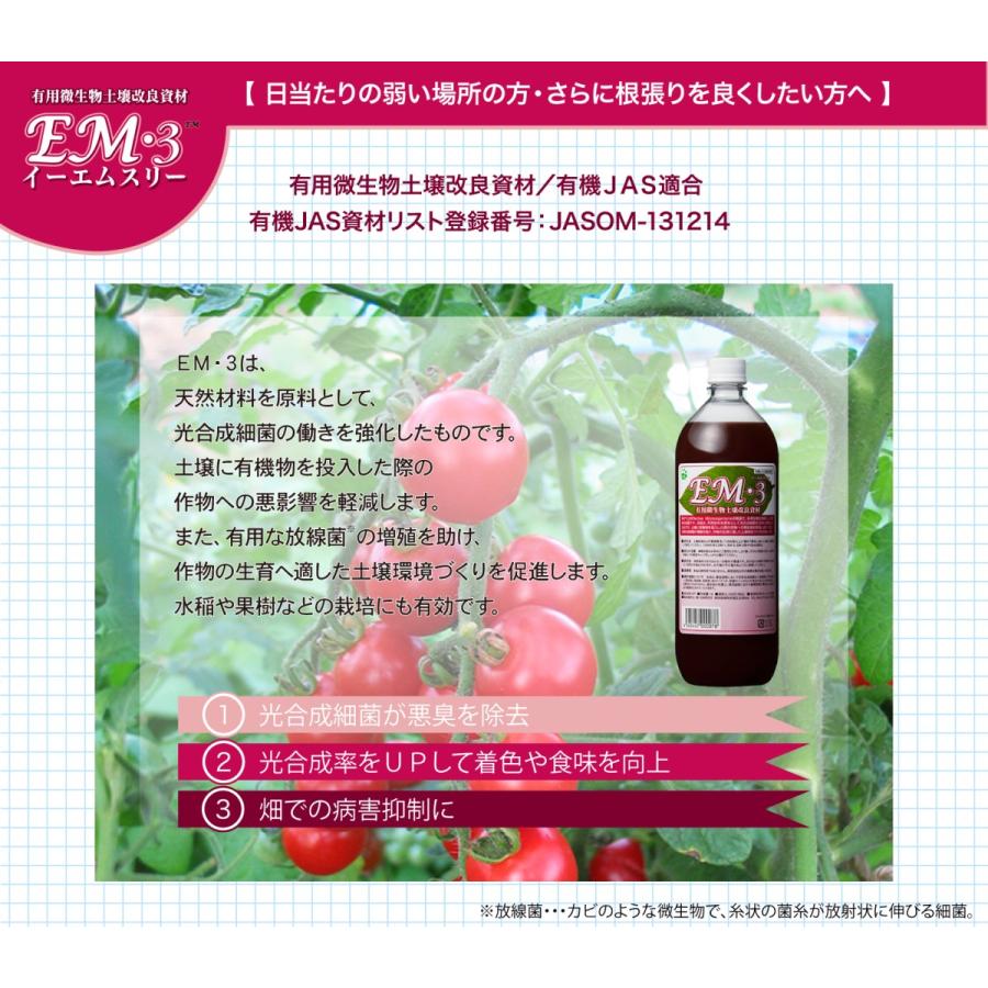 ＥＭ３〈10Ｌ〉　光合成細菌　ＥＭ菌　土壌改良材　有機JAS適合資材　送料無料 驚異の根張りを実現する液体肥料・発根剤 活根彩果(カッコンサイカ) (5kg) CEG1075990674(10450円)