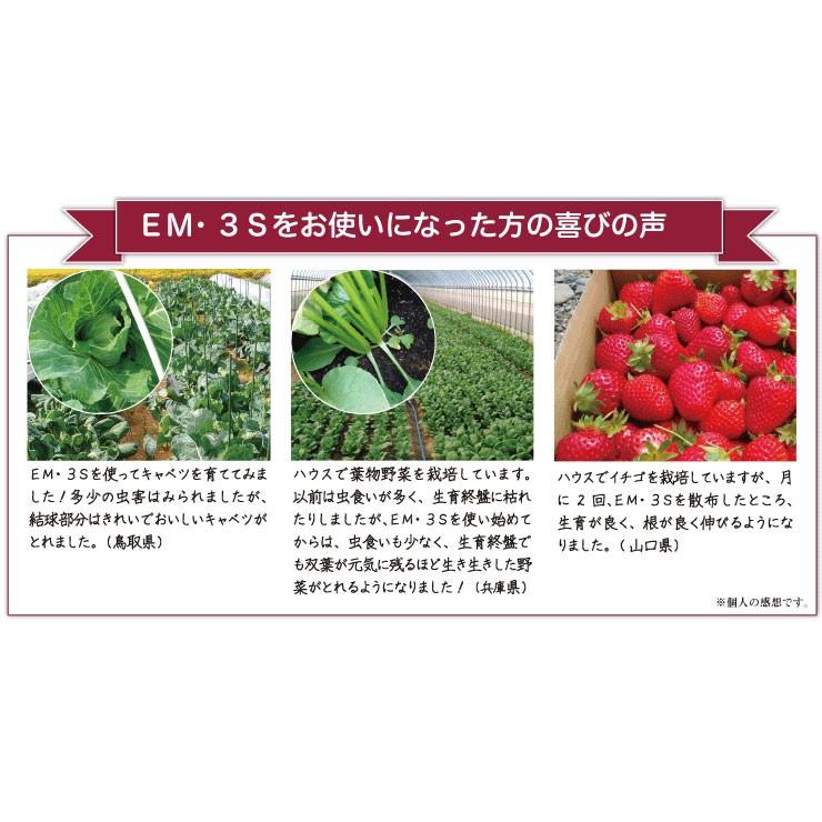 ＥＭ３Ｓ 〈10Ｌ〉 イーエムスリーエス 光合成細菌 バチルス菌 ＥＭ菌 光合成アップ 送料無料