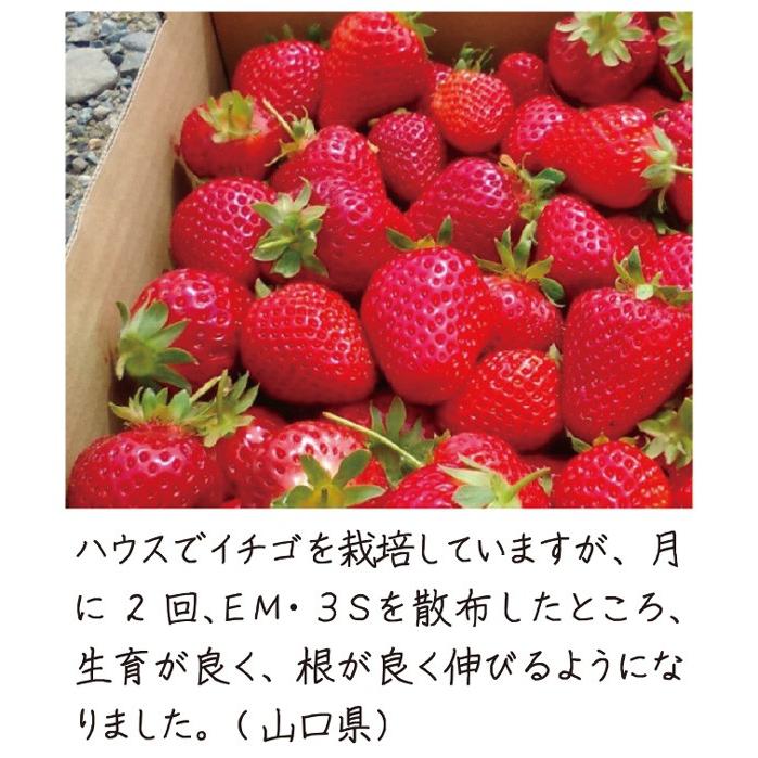 ＥＭ３Ｓ 〈10Ｌ〉 イーエムスリーエス 光合成細菌 バチルス菌 ＥＭ菌 光合成アップ 送料無料