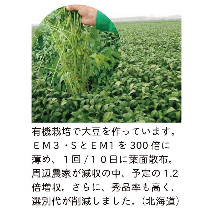 ＥＭ３Ｓ 〈10Ｌ〉 イーエムスリーエス 光合成細菌 バチルス菌 ＥＭ菌 光合成アップ 送料無料