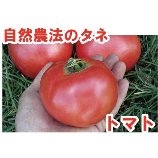トマト 南桜2号 中袋〈100粒〉 （みなみざくら2ごう） 大玉トマト 自然農法種子 無農薬 有機 交配種