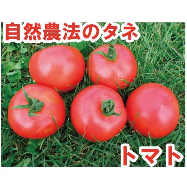 トマト メニーナ 小袋〈10粒〉 中玉トマト 自然農法種子 無農薬 有機 交配種