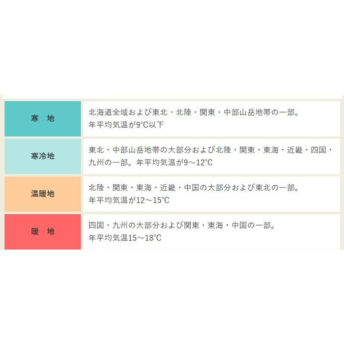 インゲン 島村インゲン 小袋〈20粒〉 マメ科 自然農法種子 無農薬 在来種(固定種)|emlabo-shop|03