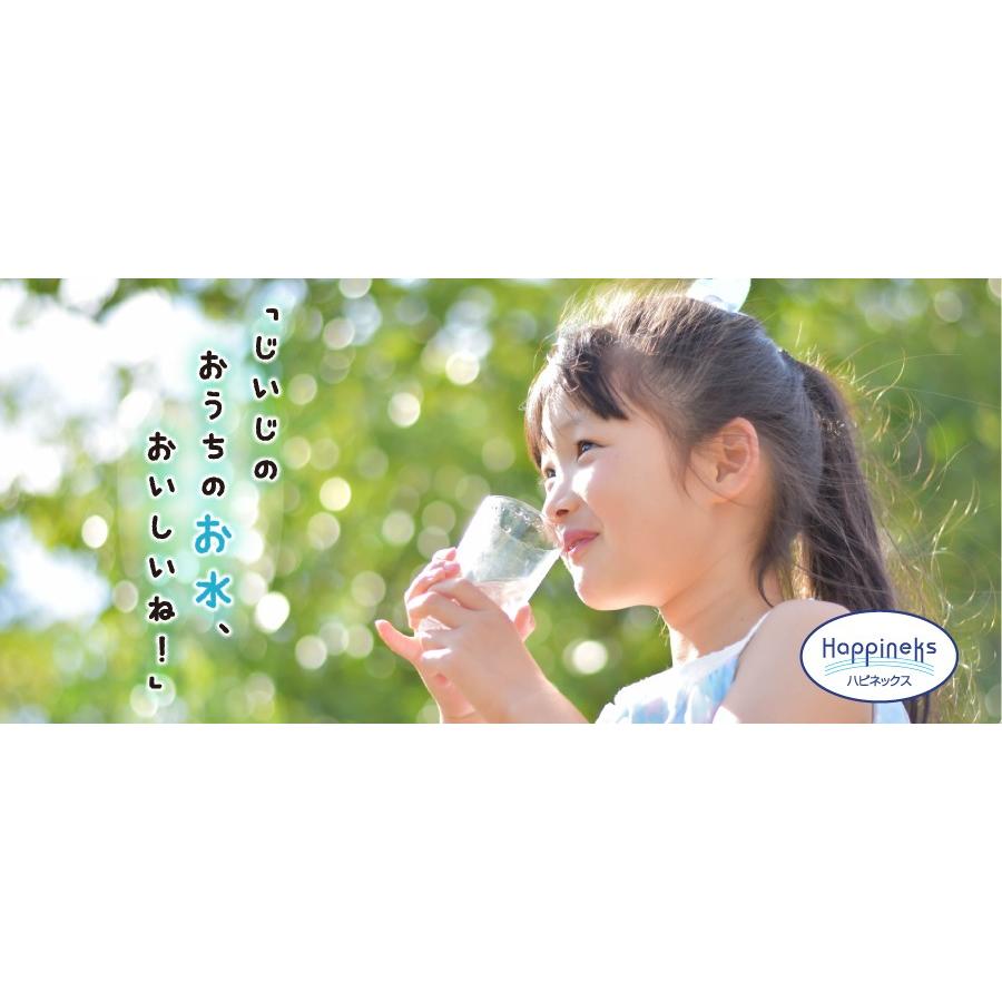 浄活水器ハピネックス ニュージーセブン 浄水器 活水器 量子水 浄活水器ハピネックス ニュージーセブン 浄水器 活水器 量子水
