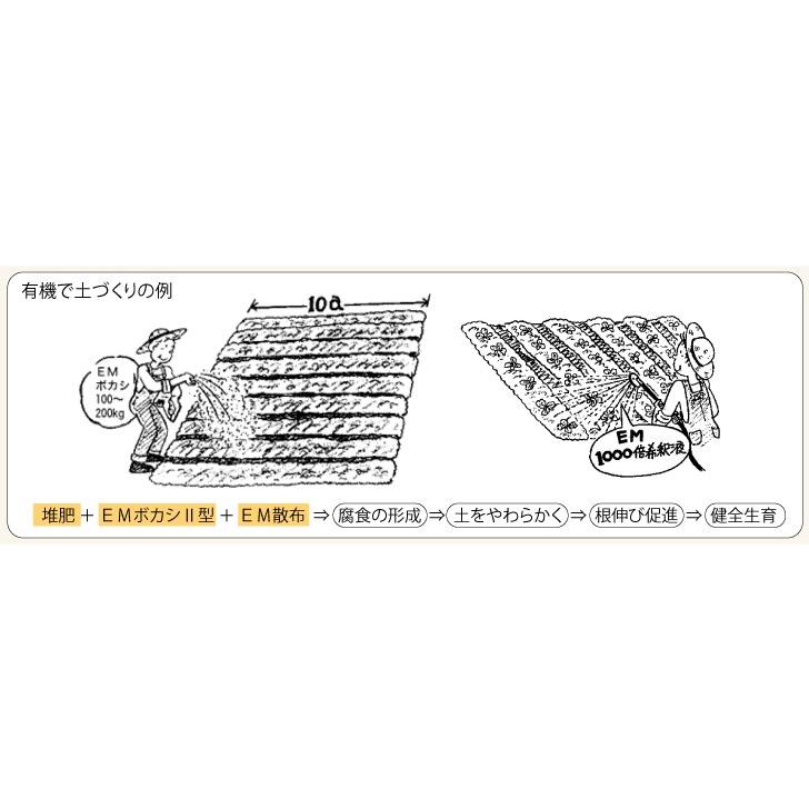ｅｍボカシii型 10kg 有機肥料 ボカシ肥料 発酵肥料 乳酸菌 酵母 送料無料 Em情報室 通販 Yahoo ショッピング