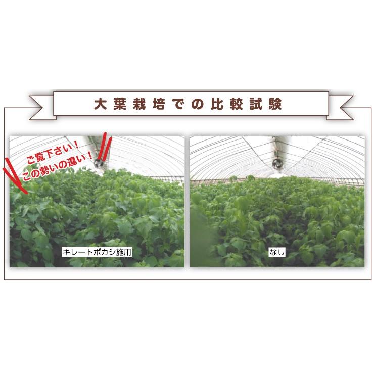 キレートボカシ〈10kg〉　ミネラル補給　二価鉄　鉄分補給　ＥＭボカシ　送料無料 |  | 03
