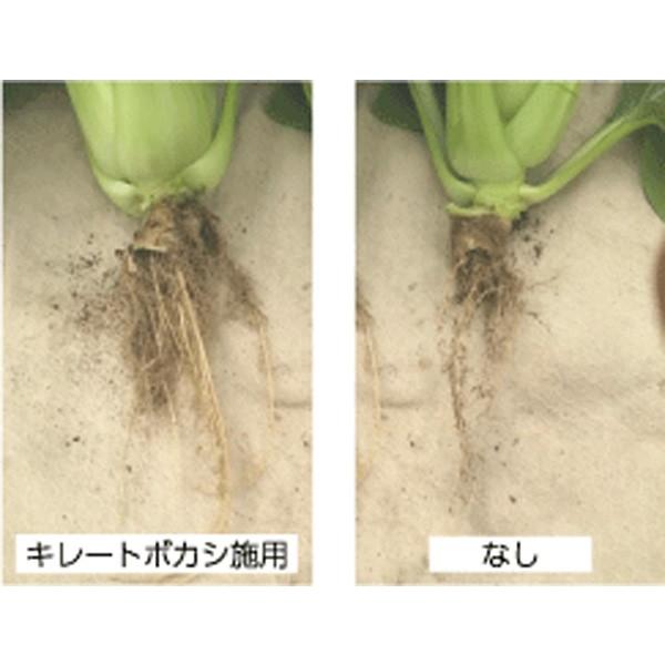 キレートボカシ〈10kg〉　ミネラル補給　二価鉄　鉄分補給　ＥＭボカシ　送料無料 |  | 04