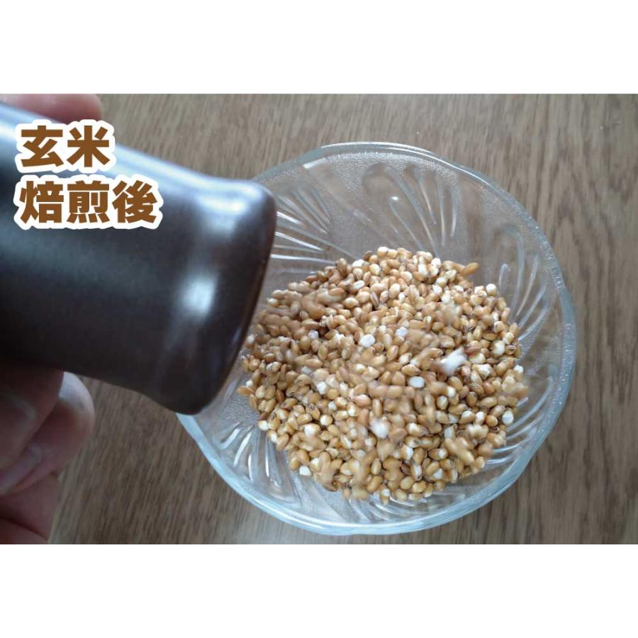送料無料】EM焙煎器 ゼロ可否 珈琲 ロースター 自家焙煎 萬古